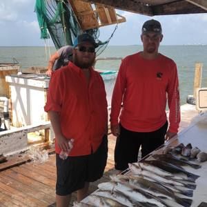 Meet your Posher, Orry